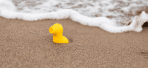 Un vibromasseur canard posé sur un banc de sable au bord de l'eau de mer